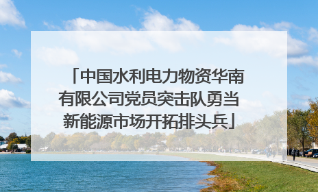 中国水利电力物资华南有限公司党员突击队勇当新能源市场开拓排头兵