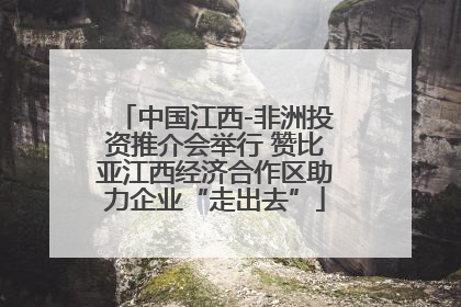 中国江西-非洲投资推介会举行 赞比亚江西经济合作区助力企业“走出去”