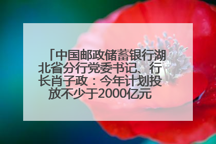 中国邮政储蓄银行湖北省分行党委书记、行长肖子政：今年计划投放不少于2000亿元支持支点建设