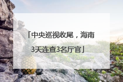 中央巡视收尾，海南3天连查3名厅官