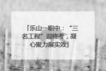 乐山一职中：“三名工程”迎终考，凝心聚力展实效