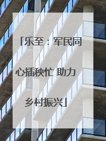 乐至：军民同心插秧忙 助力乡村振兴