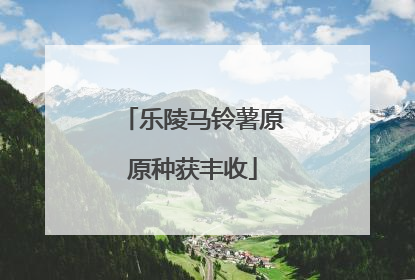 乐陵马铃薯原原种获丰收
