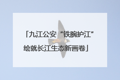 九江公安“铁腕护江”绘就长江生态新画卷