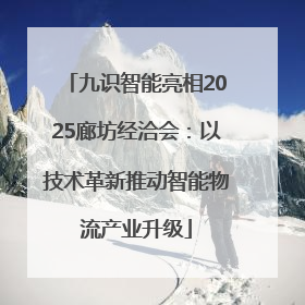 九识智能亮相2025廊坊经洽会：以技术革新推动智能物流产业升级