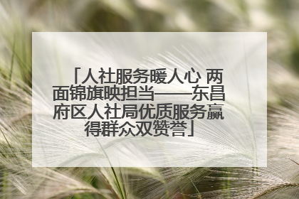 人社服务暖人心 两面锦旗映担当——东昌府区人社局优质服务赢得群众双赞誉