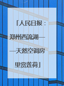 人民日报：郑州西流湖——天然空调房里赏莲荷