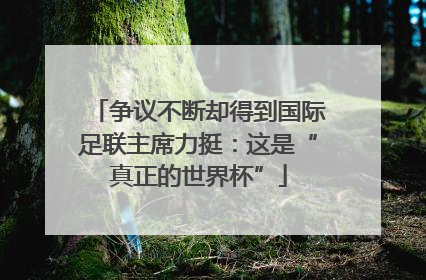 争议不断却得到国际足联主席力挺：这是“真正的世界杯”