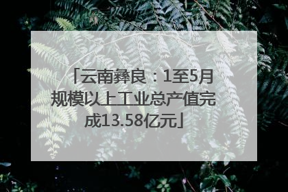 云南彝良：1至5月规模以上工业总产值完成13.58亿元