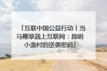互联中国公益行动丨当马鞭草遇上互联网：昆明小渔村的逆袭密码