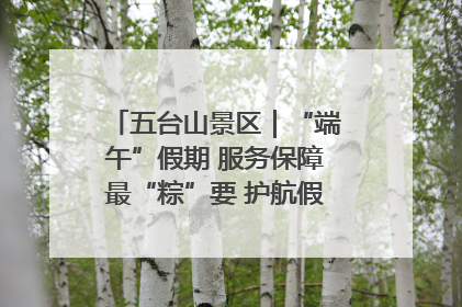五台山景区｜“端午”假期 服务保障最“粽”要 护航假期“不打烊”