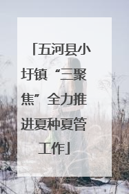 五河县小圩镇“三聚焦”全力推进夏种夏管工作