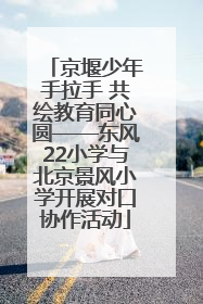 京堰少年手拉手 共绘教育同心圆——东风22小学与北京景风小学开展对口协作活动