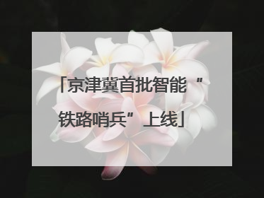京津冀首批智能“铁路哨兵”上线