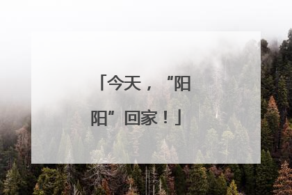 今天，“阳阳”回家！