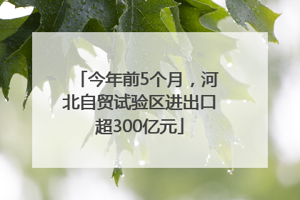 今年前5个月，河北自贸试验区进出口超300亿元