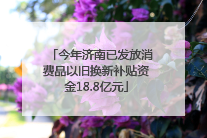 今年济南已发放消费品以旧换新补贴资金18.8亿元
