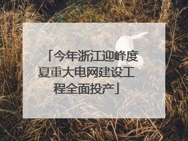 今年浙江迎峰度夏重大电网建设工程全面投产