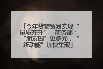 今年货物贸易实现“量质齐升”，商务部：“朋友圈”更多元，“新动能”加快集聚