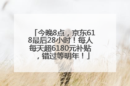 今晚8点，京东618最后28小时！每人每天超6180元补贴，错过等明年！