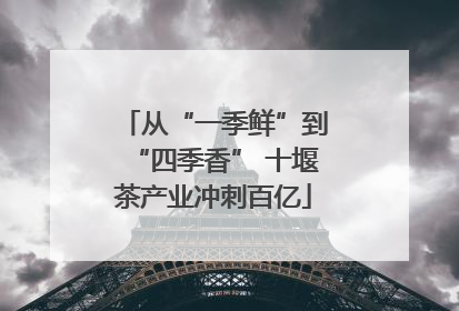 从“一季鲜”到“四季香” 十堰茶产业冲刺百亿