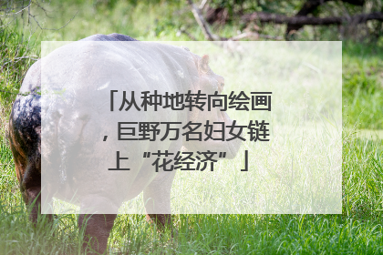 从种地转向绘画，巨野万名妇女链上“花经济”