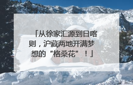 从徐家汇源到日喀则，沪藏两地开满梦想的“格桑花”！