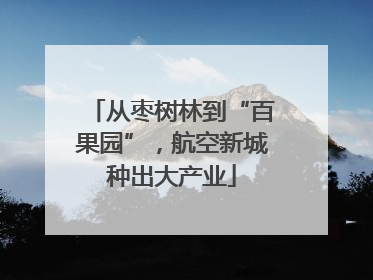 从枣树林到“百果园”，航空新城种出大产业
