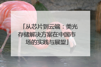 从芯片到云端：美光存储解决方案在中国市场的实践与展望