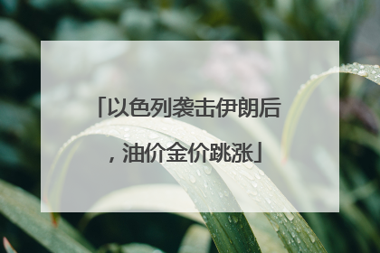 以色列袭击伊朗后，油价金价跳涨