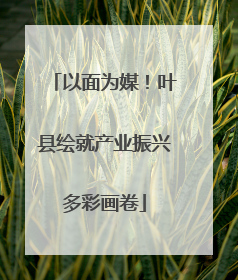 以面为媒！叶县绘就产业振兴多彩画卷