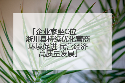 企业家坐C位——淅川县持续优化营商环境促进 民营经济高质量发展