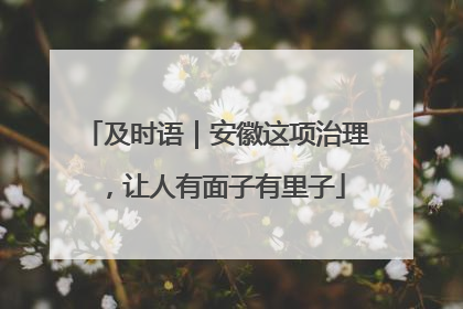 及时语｜安徽这项治理，让人有面子有里子
