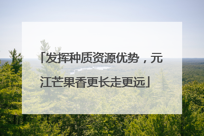 发挥种质资源优势，元江芒果香更长走更远