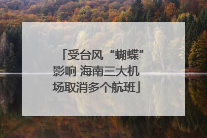 受台风“蝴蝶”影响 海南三大机场取消多个航班