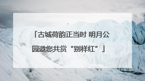古城荷韵正当时 明月公园邀您共赏“别样红”