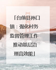 台前县孙口镇：强化村务监督管理工作 推动基层治理高效能