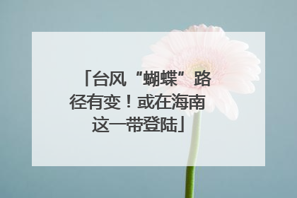 台风“蝴蝶”路径有变！或在海南这一带登陆