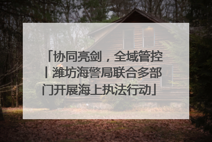 协同亮剑，全域管控丨潍坊海警局联合多部门开展海上执法行动
