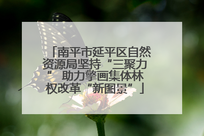 南平市延平区自然资源局坚持“三聚力” 助力擎画集体林权改革“新图景”