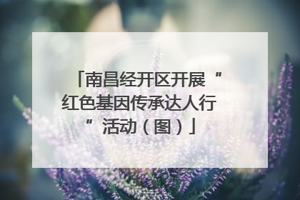 南昌经开区开展“红色基因传承达人行”活动（图）