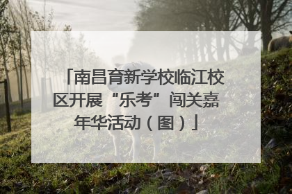 南昌育新学校临江校区开展“乐考”闯关嘉年华活动（图）