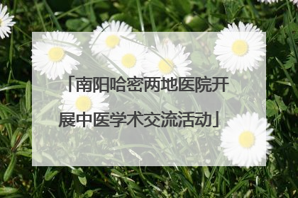 南阳哈密两地医院开展中医学术交流活动