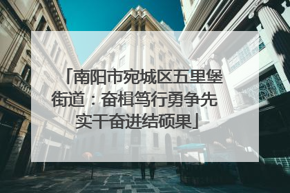 南阳市宛城区五里堡街道：奋楫笃行勇争先 实干奋进结硕果