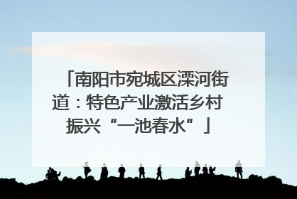 南阳市宛城区溧河街道：特色产业激活乡村振兴“一池春水”