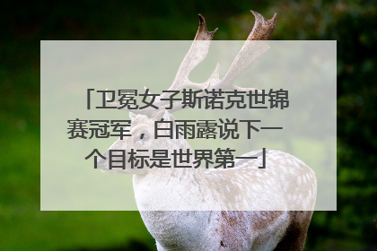 卫冕女子斯诺克世锦赛冠军，白雨露说下一个目标是世界第一