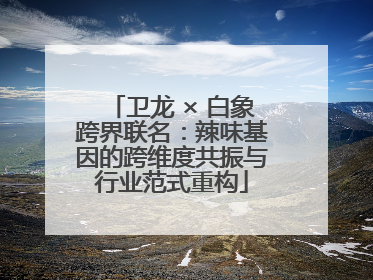 卫龙 × 白象跨界联名：辣味基因的跨维度共振与行业范式重构