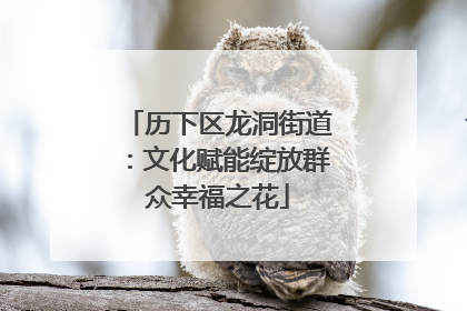 历下区龙洞街道：文化赋能绽放群众幸福之花
