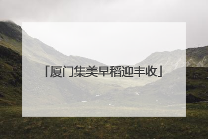 厦门集美早稻迎丰收