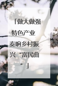 做大做强特色产业 奏响乡村振兴“富民曲”